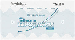 Desktop Screenshot of barrakuda.pro
