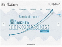 Tablet Screenshot of barrakuda.pro